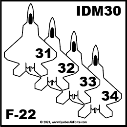 IDM30