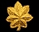 Major