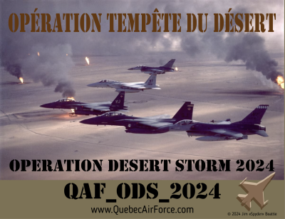 Operation QAF_ODS_2024