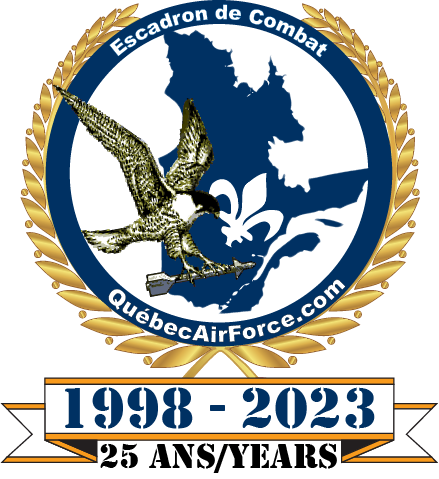 Télécharger le logo du 25e anniverssaire du 101e ECV en format PDF.