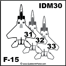 IDM30