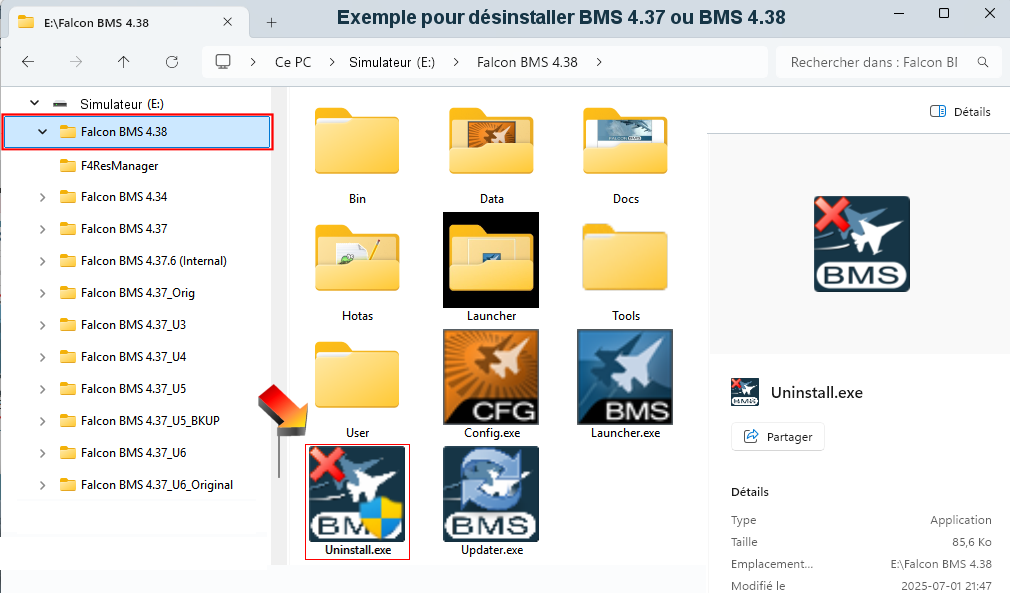 Programme Uninstall.exe pour désinstaller un simulateur Falcon BMS 4.37 ou 4.38