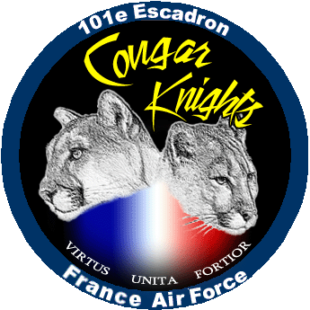 Logo COUGAR KNIGHTS 